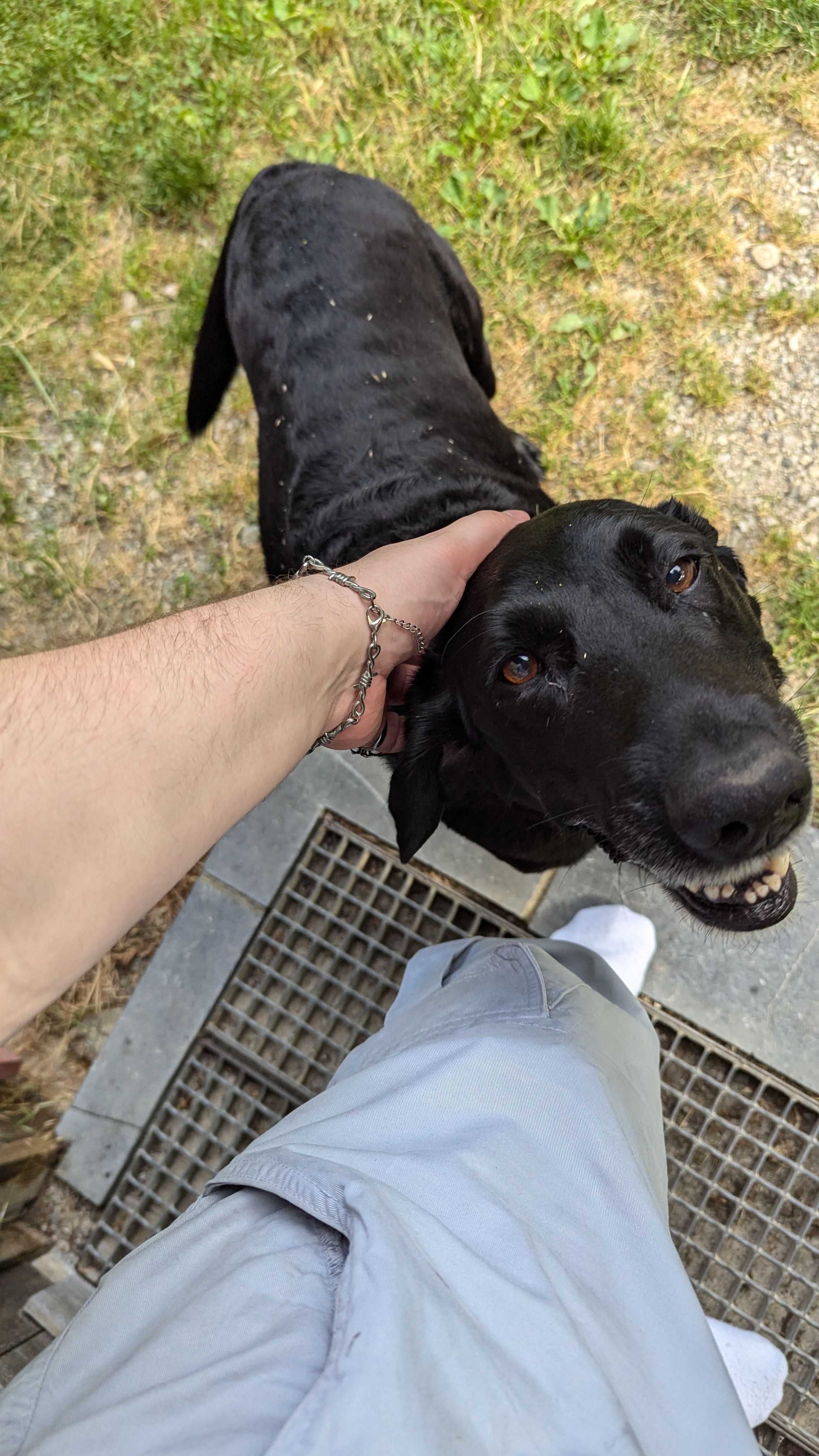 Arlong a besoin de vous ! (moi aussi cela dit)