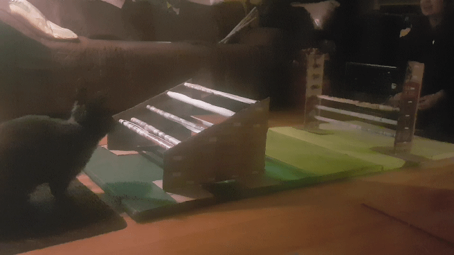 Commencer le kaninhop