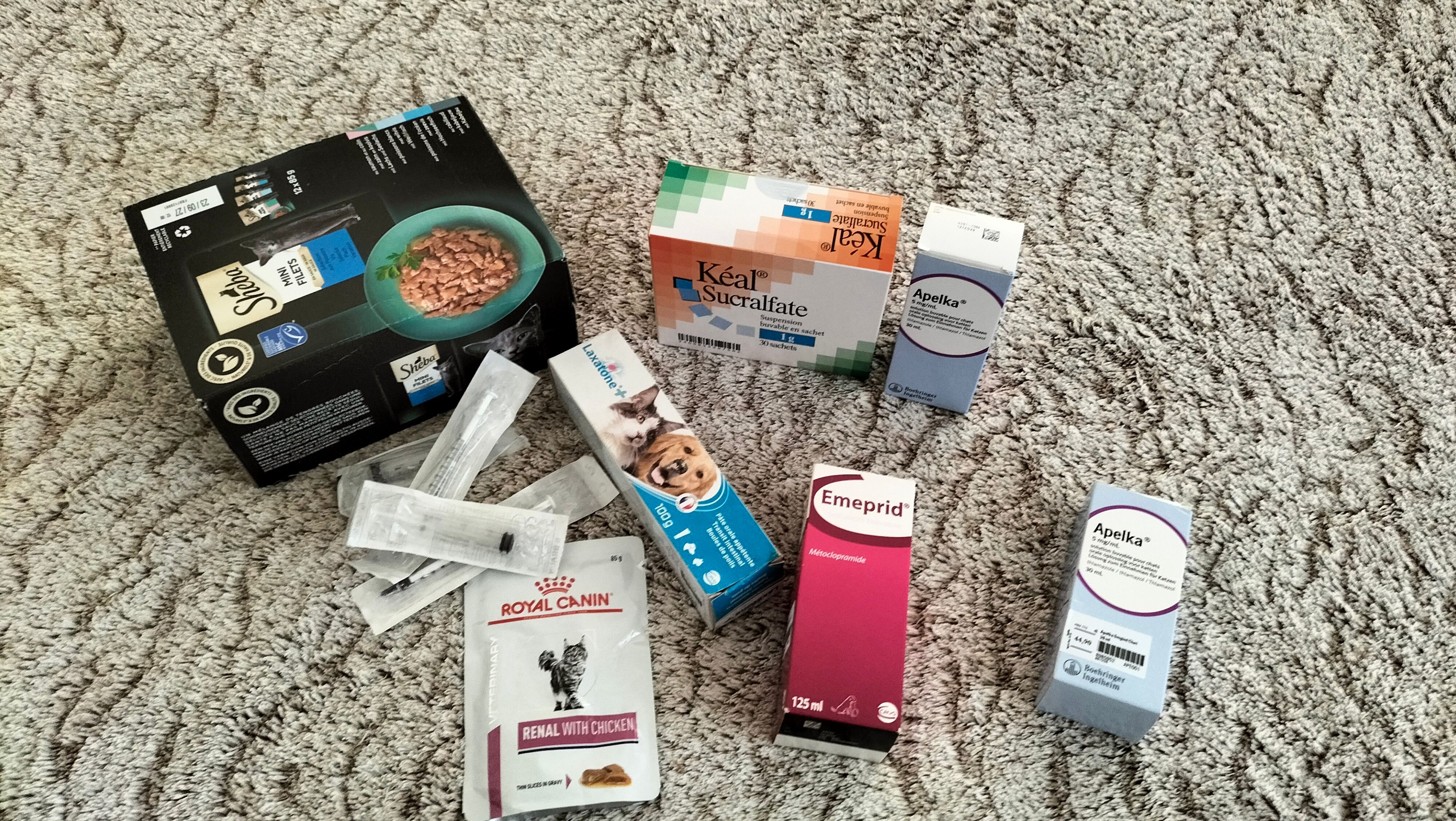 Soins Chats (Hyperthyroïdie / Insuffisance Rénale) – Suite décès