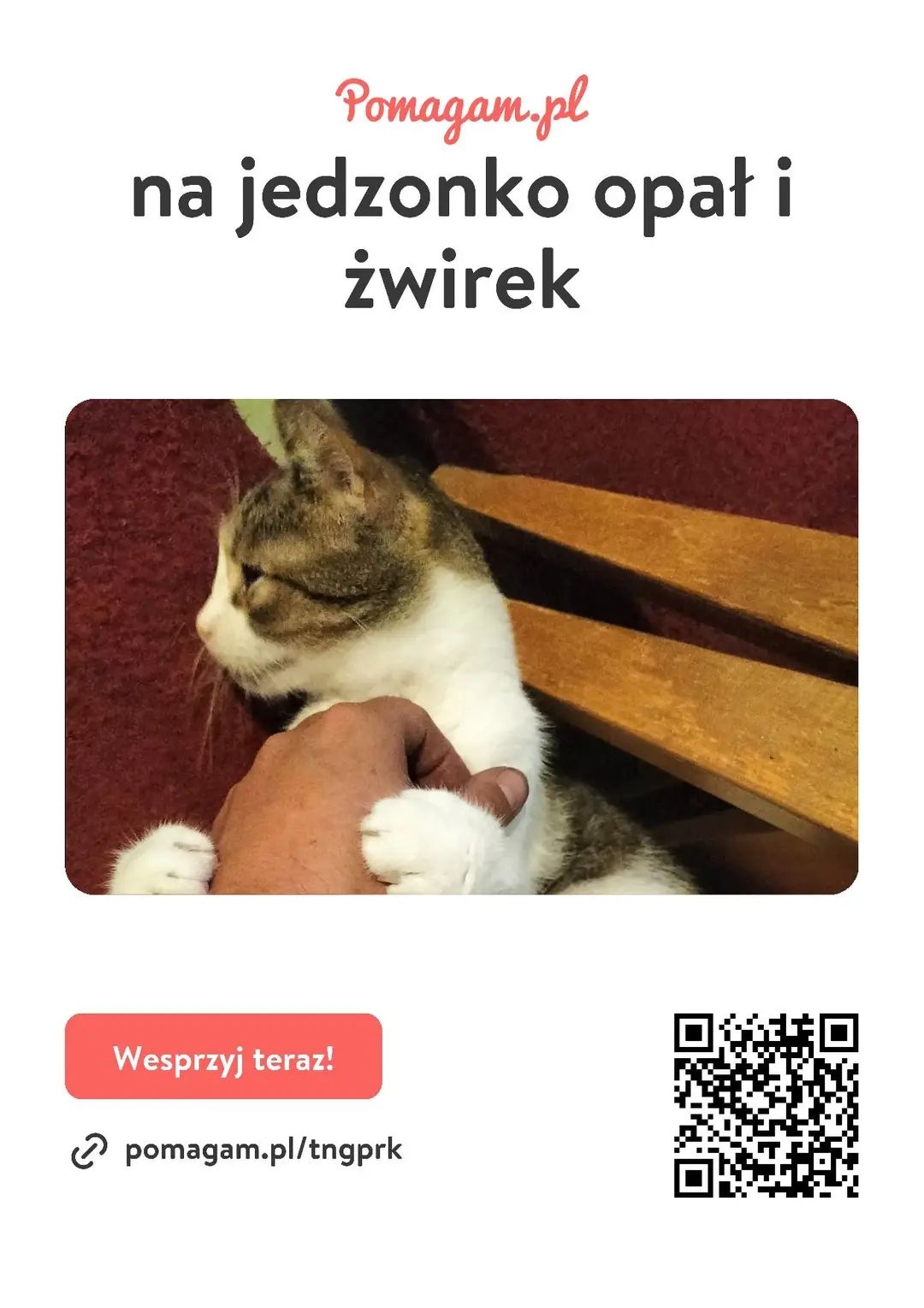 Prosimy o pomoc dla mici