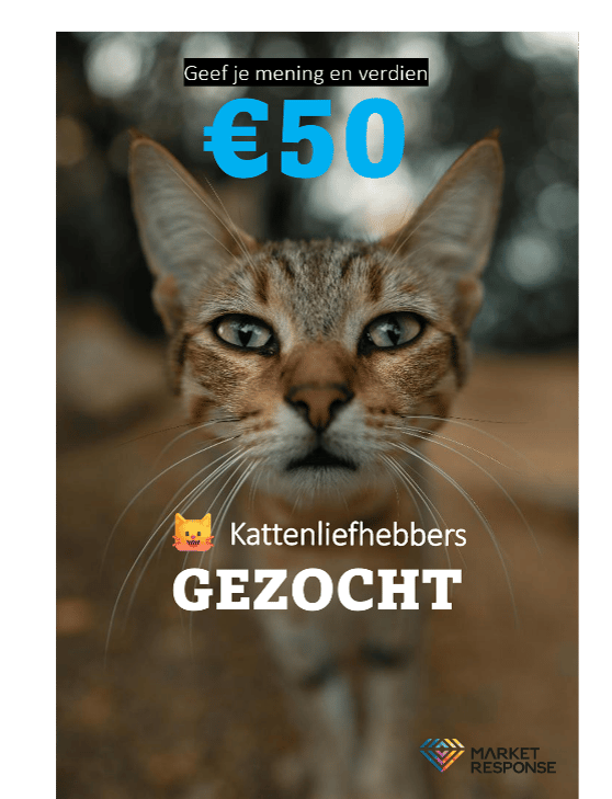 Heb jij een kat? Praat mee over de ontwikkeling van nieuw kattenvoer