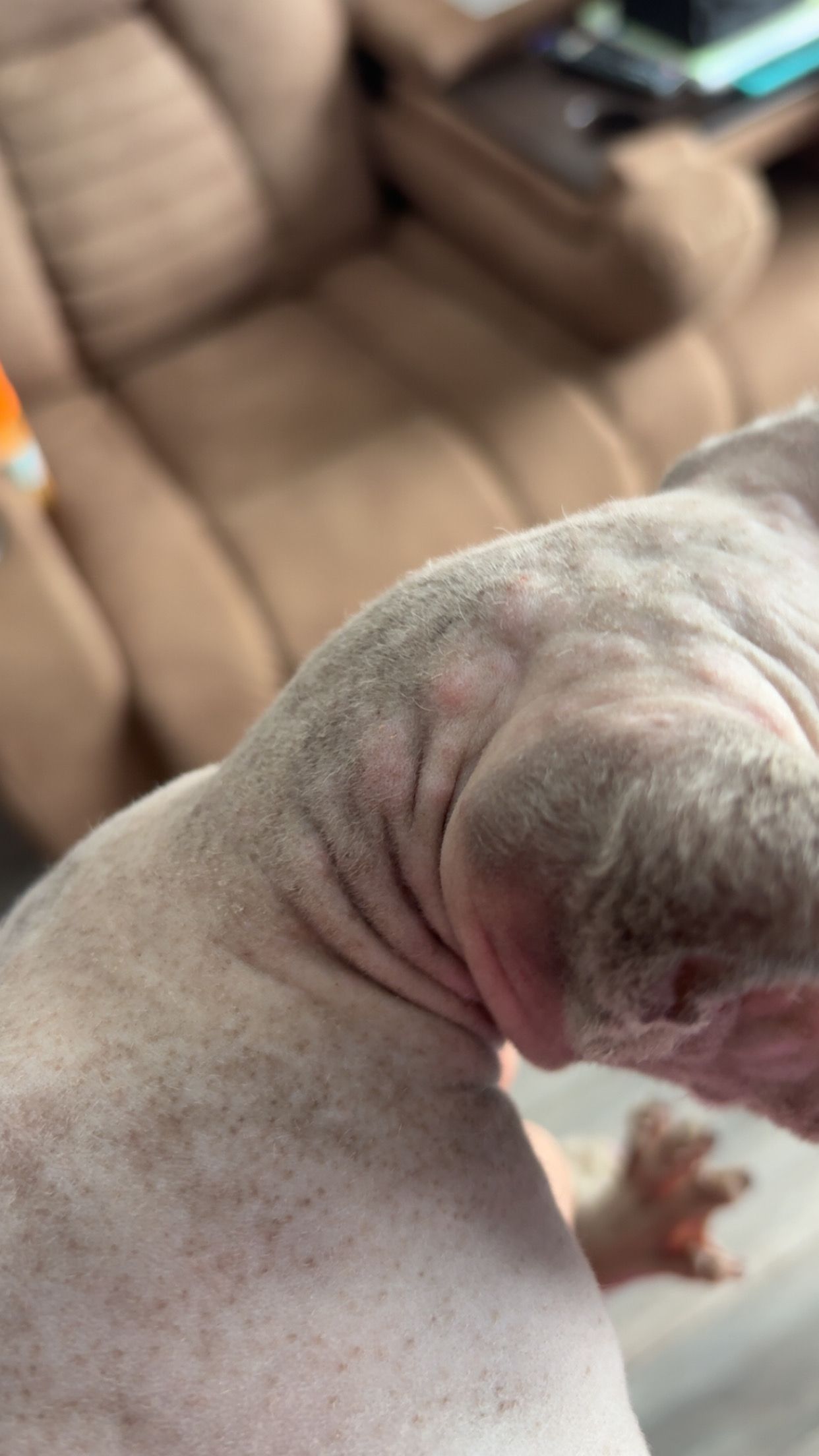 Bosses étrange, questionnement