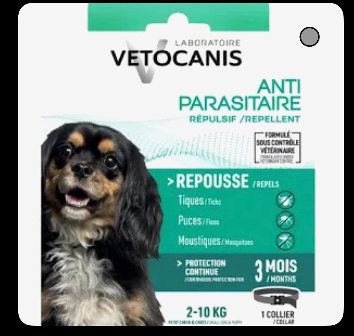 Prévention leishmaniose sans danger pour chats et chiens