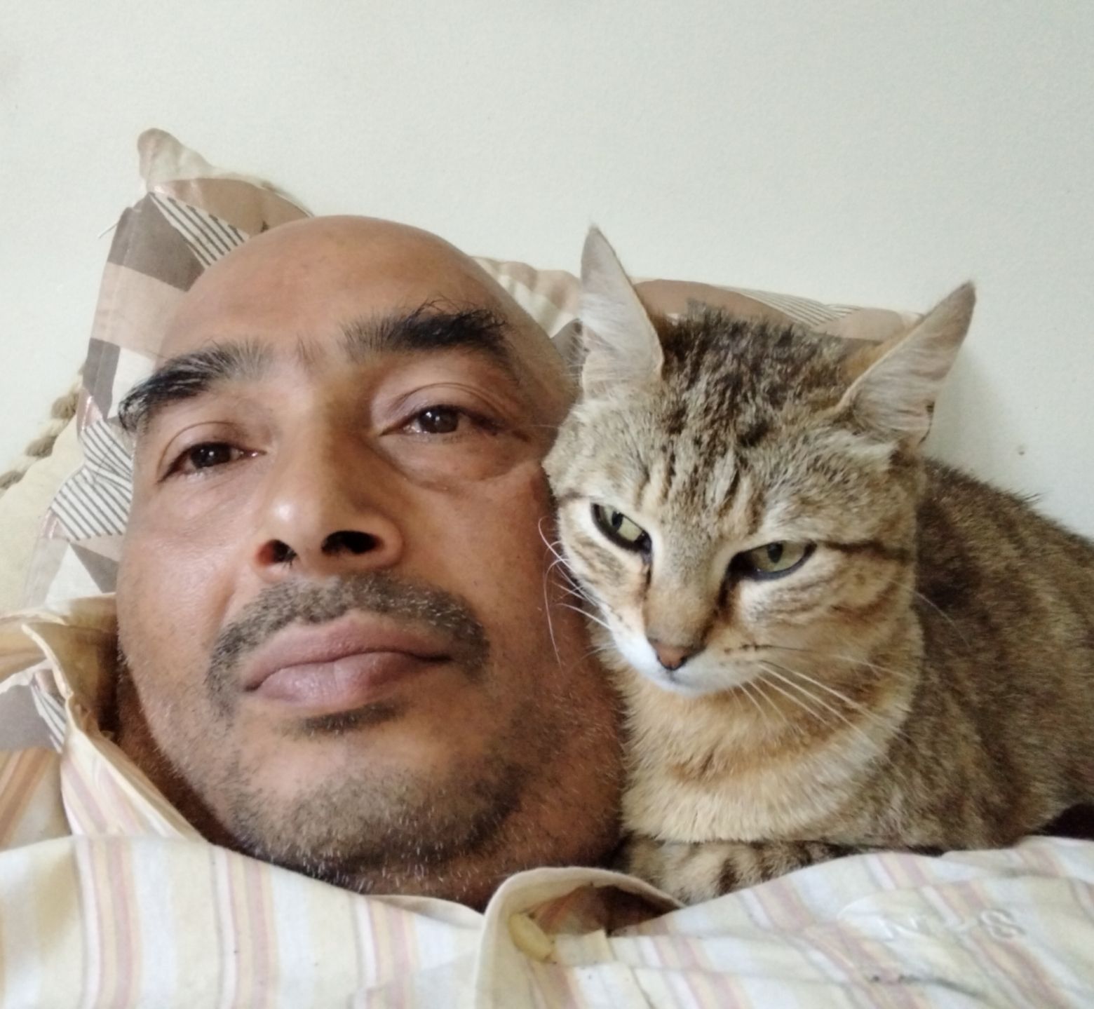 Potiron le jour, potiron la nuit!