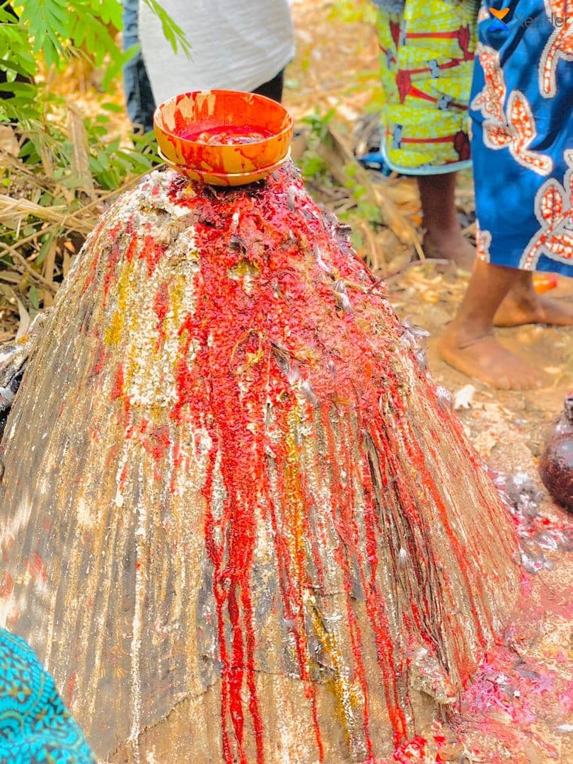 Marabout sérieux et honnête +22955821114