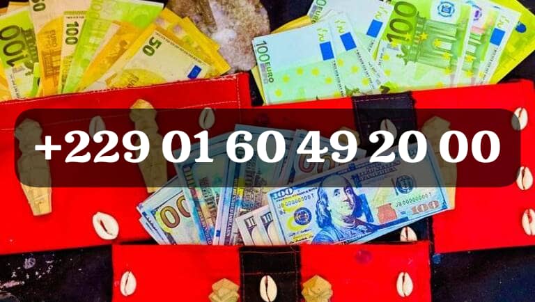 LES ETAPES DU VRAI PORTEFEUILLE MAGIQUE A DISTANCE +229 01 60 49 20 00