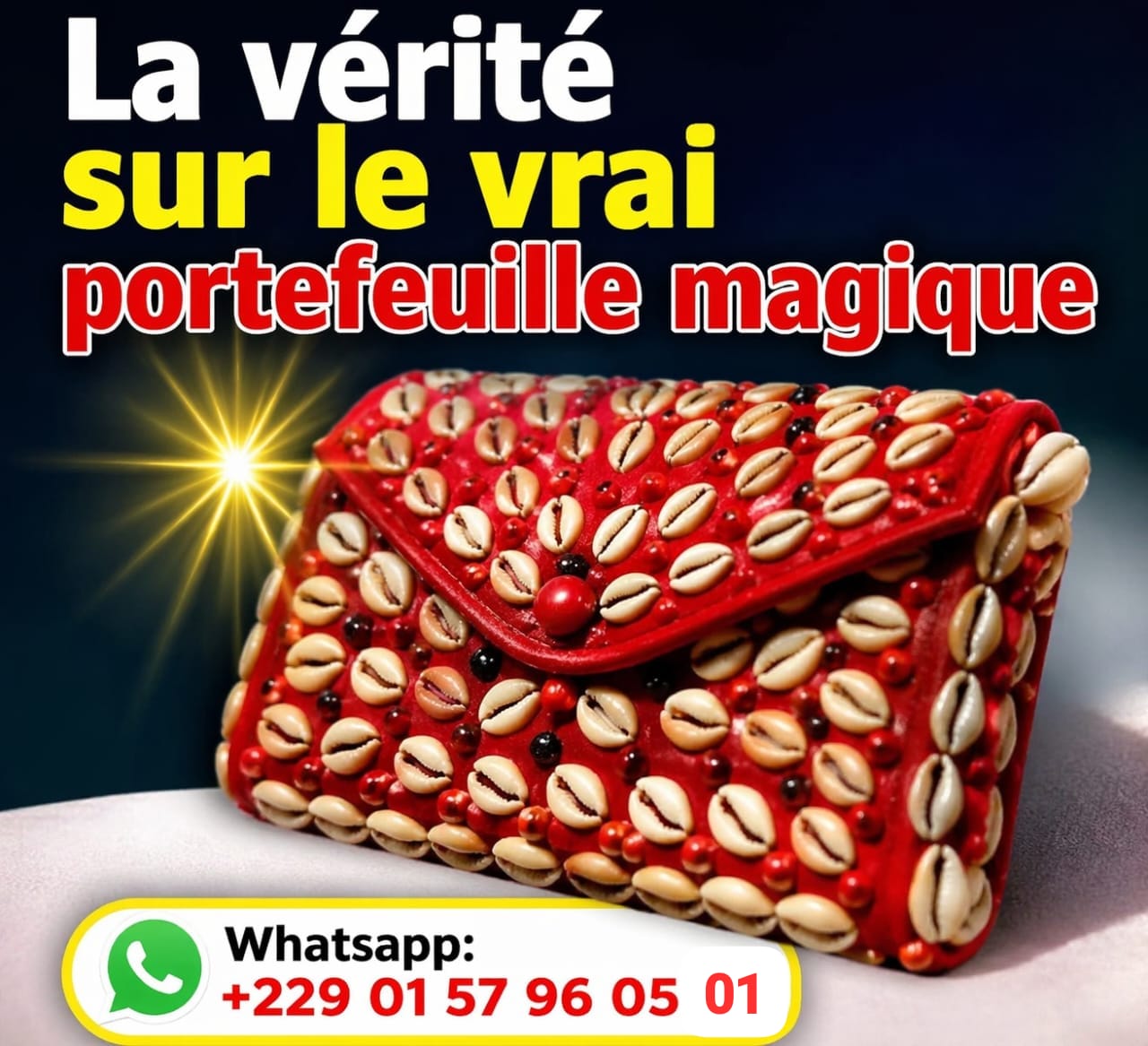 Le vrai portefeuille magique Tel: +229 01 57 96 05 01