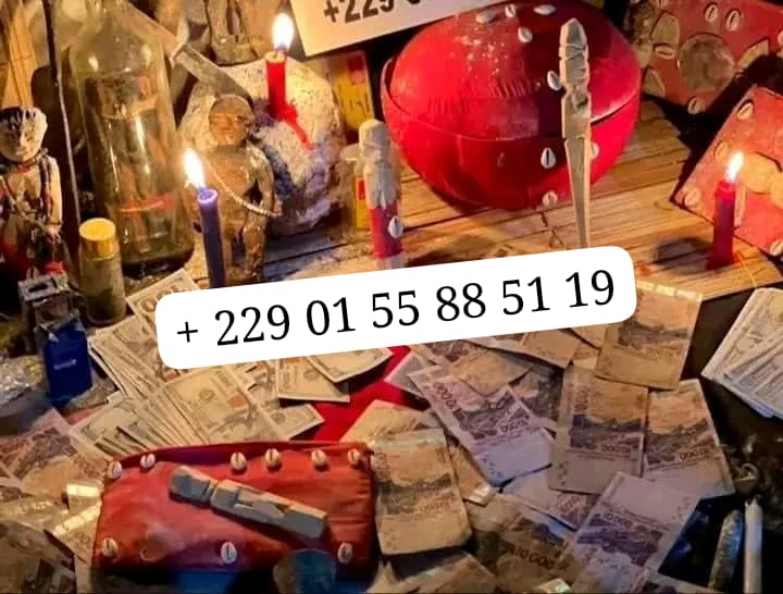 DÉCOUVREZ LE VRAI PORTEFEUILLE MAGIQUE+229 01 55 88 51 19