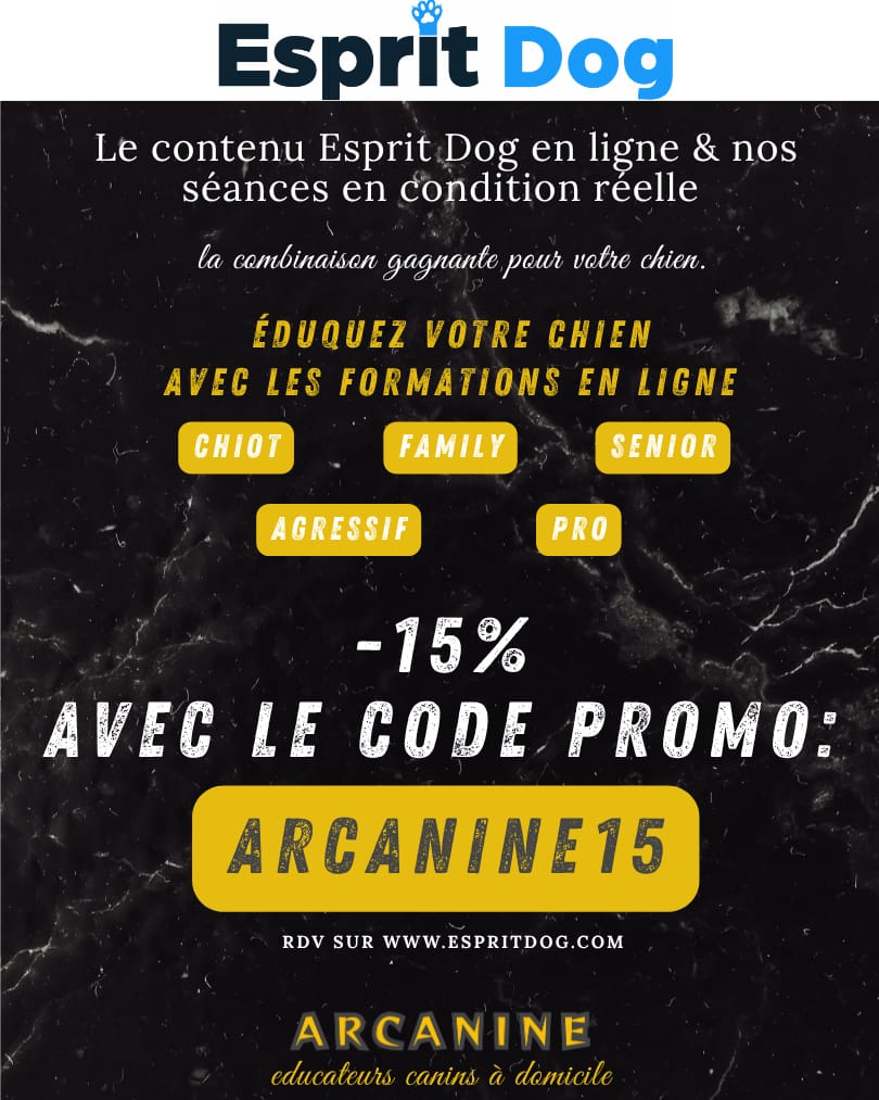 un code promotionnelle de -15% sur toute la boutique Esprit dog