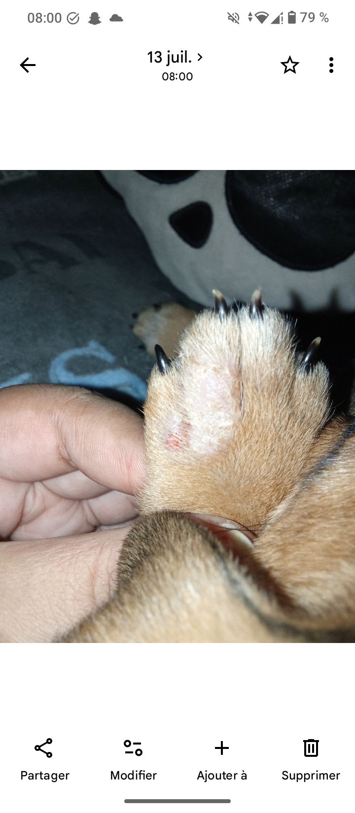 J'aurais besoin d'aide par rapport à ma petite louloute !