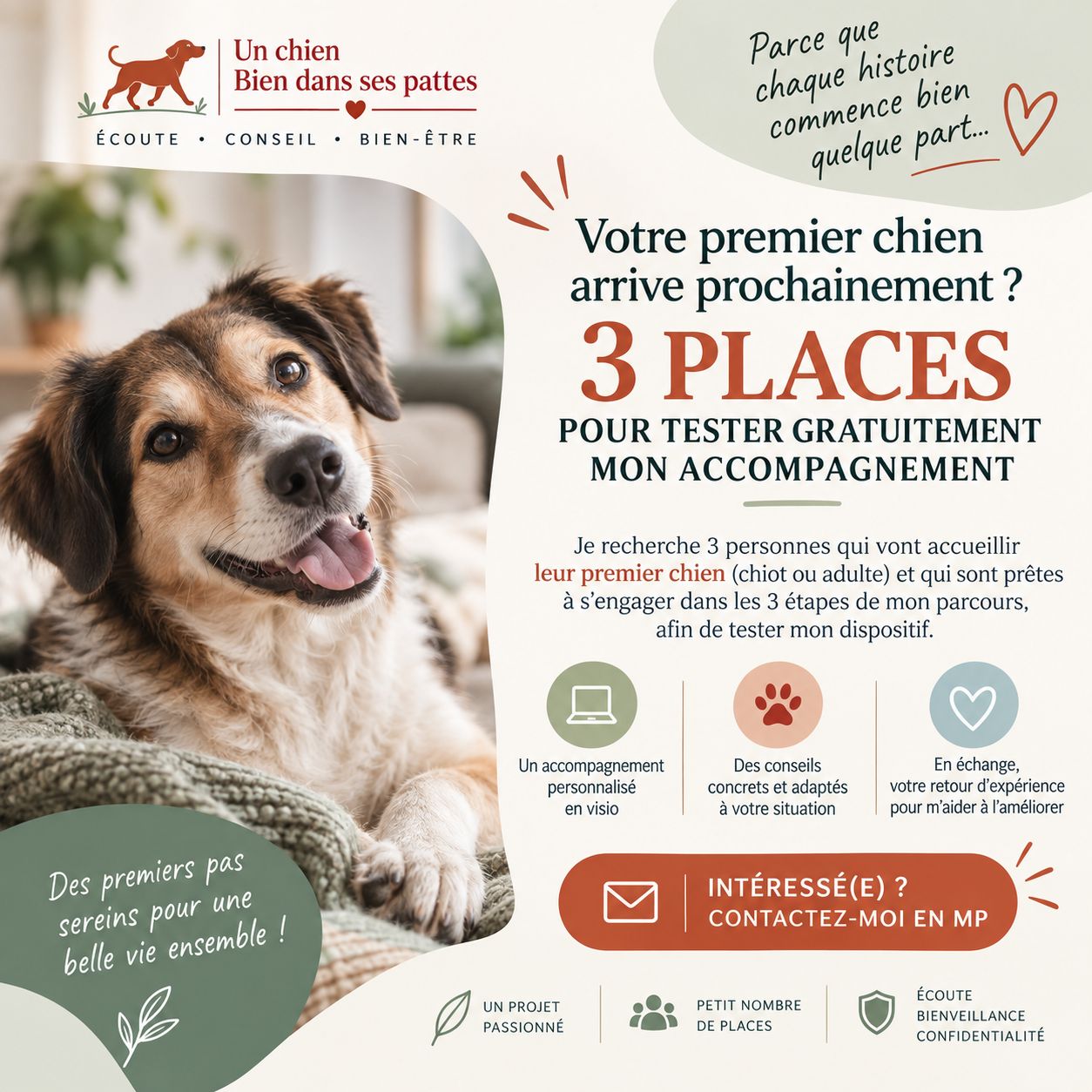 Recherche 3 personnes accueillant leur 1er chien projet pilote gratuit