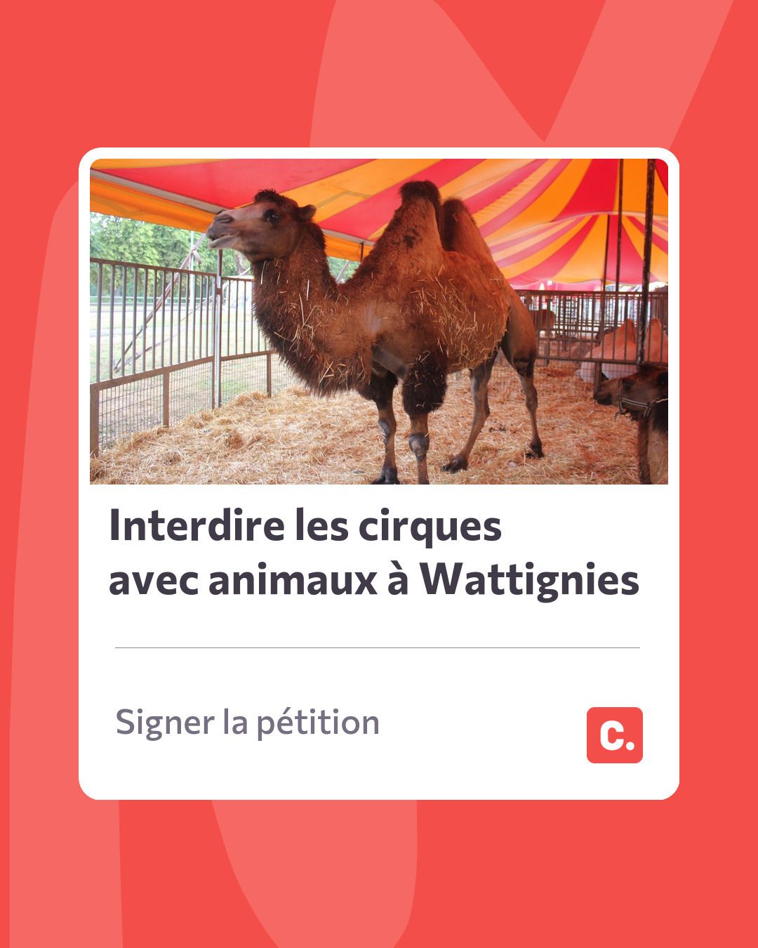 Interdire les cirques avec animaux à Wattignies