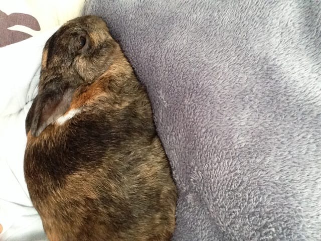 Pouky est bizarre!