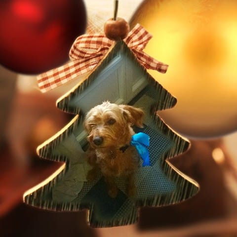 " Concours Montages "