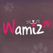 Questions sur Wamiz TV