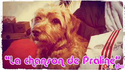 Jeu : "la chanson de Praline"