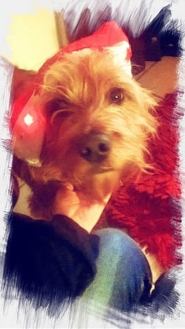 Ma Praline en photos