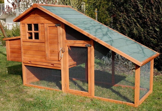 Cabane et enclos