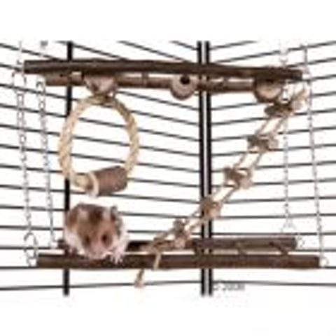 Jouet pour hamster doré