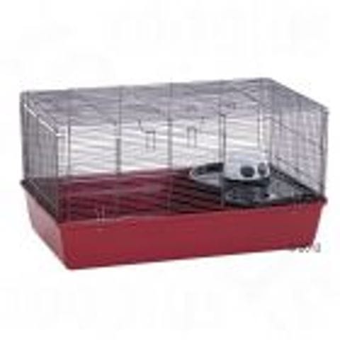 Ce dont vous avez besoin pour commencer avec votre hamster