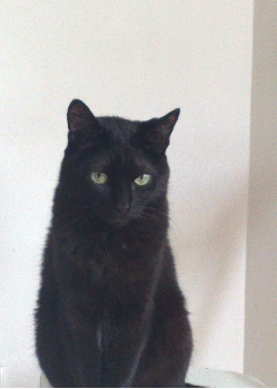 LES MIRACLES EXISTENT !!!