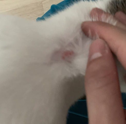 Problème de petite blessure ?
