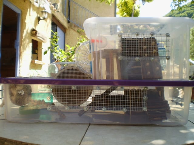 avis bin-cage