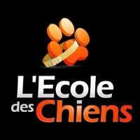 L'ecole des chiens de PARIS