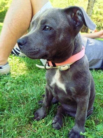 première vacances pour Mia