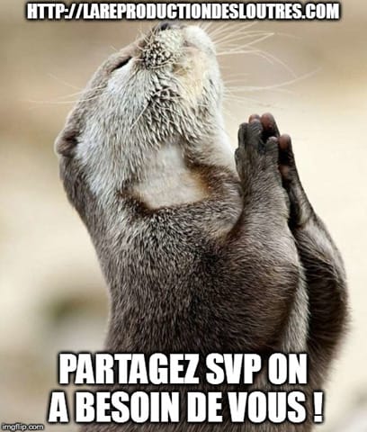 Les loutres - Qui connait ?