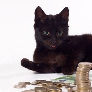 Les animaux les plus riche ! 