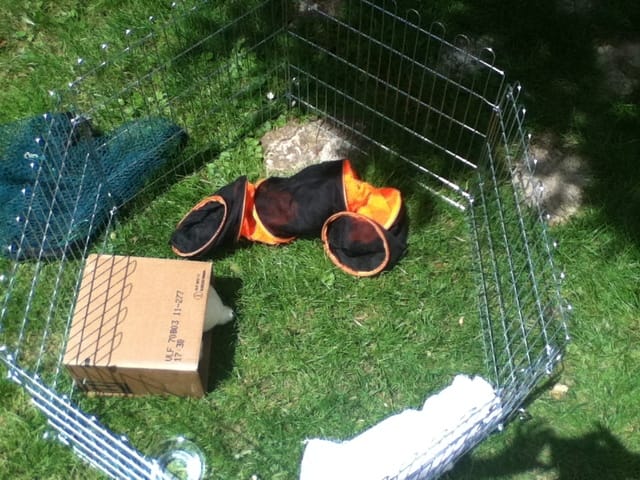 Parc pour mes lapins (photos)