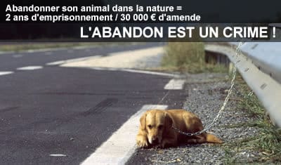 Abandon...!!!