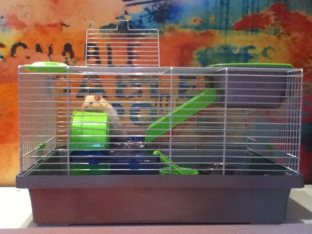 Nouvelles cages... Votre avis ?!