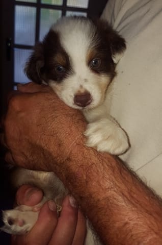Help blanc envahissant ?