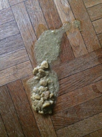 Apparence des vomis, inquiétude