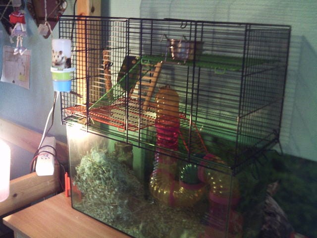 Cage de mes gerbilles et vos photos de cages !