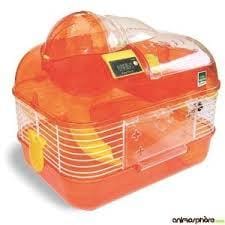 la cage à hamster