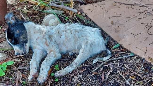 Aidez moi a savoir la cause de sa mort