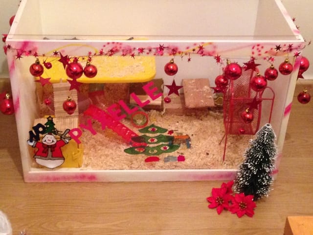 tout le monde fete noel!