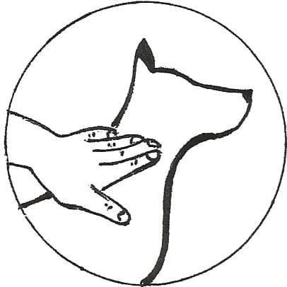 Découverte du Massage Canin