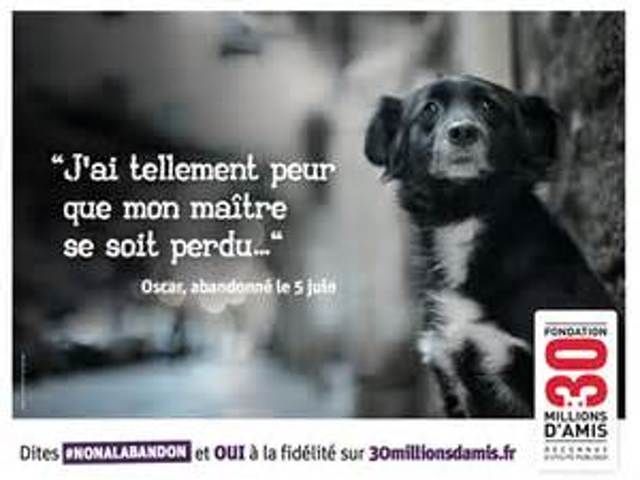 Vacances d'été = abandon