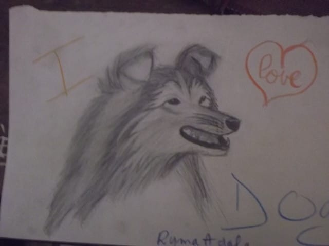 concours de dessin d'animaux