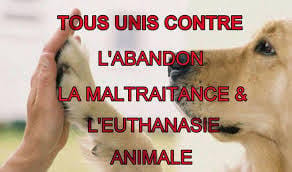 les animaux...notre vie♥