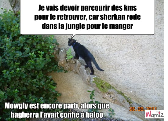 Que pensez-vous de mes tooniz?
