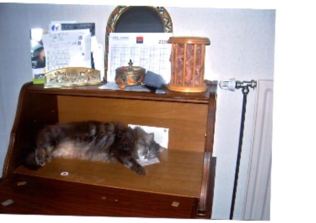juste pour vous faire partager les animaux de ma maman