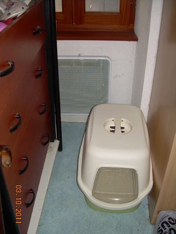 comment faire pour que mon chat de 4 ans refasse dans la litière ?