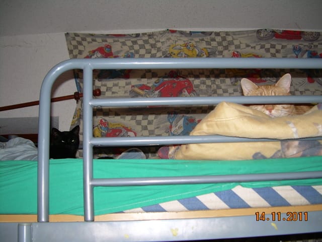 premier dodo de mes loulous au même endroit