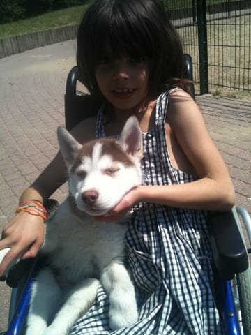 Mon chien peut-il m'aider ?