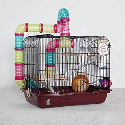Quels cage pour hamster robo?